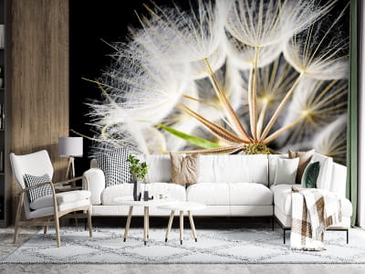 Фотообои Пышый одуванчик макро