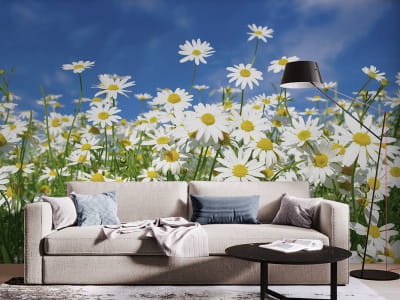 Фотообои Светлые ромашки ( код: 25856 ) Фотообои Светлые ромашки
