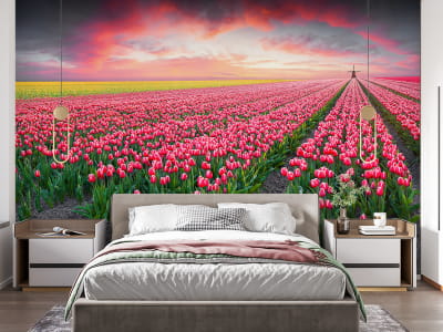 Фотошпалери Поле тюльпанів