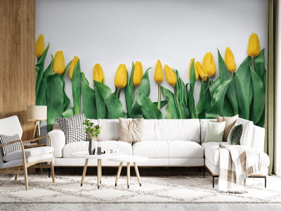 Фотообои Нежные желтые тюльпаны