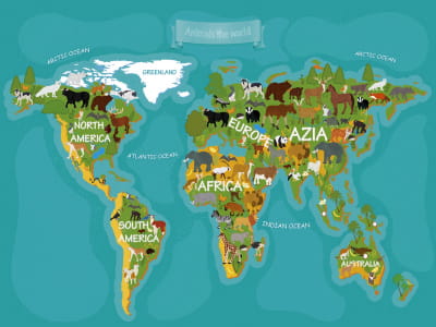 Фотошпалери Карта диких тварин