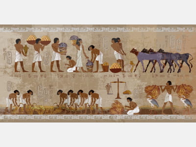 Фотообои Жизнь в Древнем Египте
