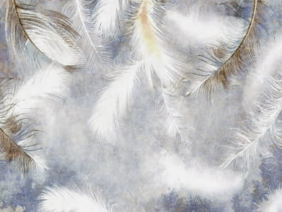 Фотообои Светлые перья