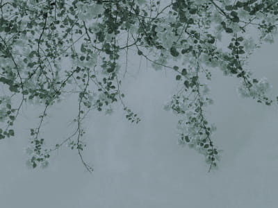 Фотошпалери Довгі гілки дерев