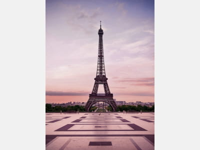 Фотообои Эйфелева башня, Франция