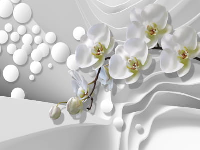 Фотошпалери Біла орхідея 3Д