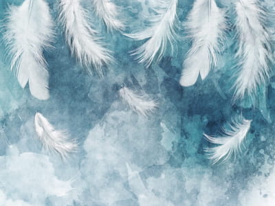 Фотообои Красивые перья белые