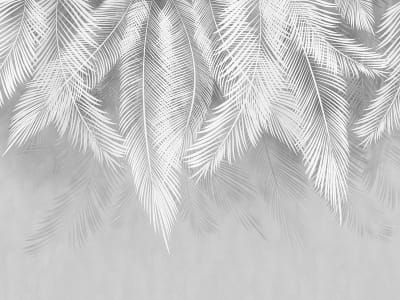 Фотообои Сірий пальмовий лист