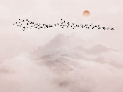 Фотошпалери Зграя птахів на заході сонця