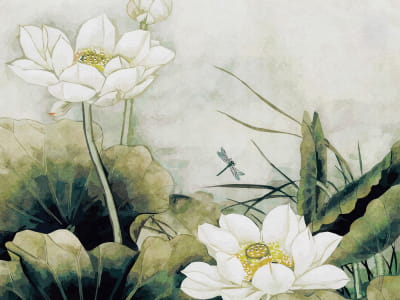 Фотошпалери Квіти білого лотоса
