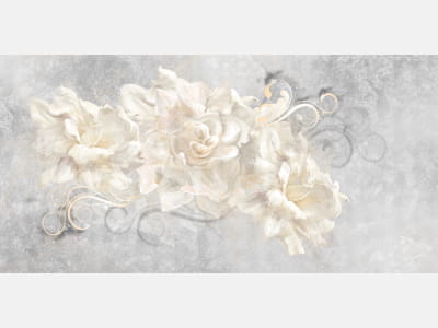 Фотообои Цветение белых пионов