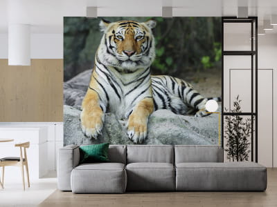 Фотошпалери Величний тигр