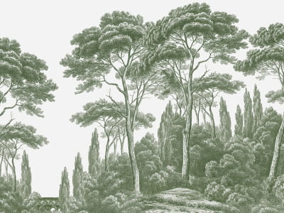 Фотообои Зеленые кипарисы