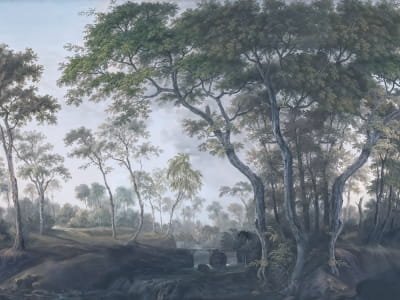 Фотошпалери Мальовничий парк