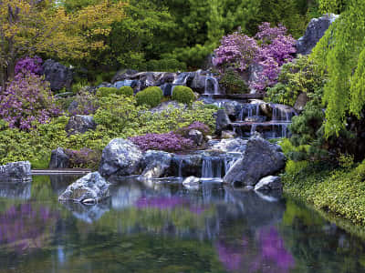 Фотообои Водопад в цветущем саду