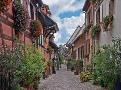 Фотошпалери Квіткова вулиця у Європі