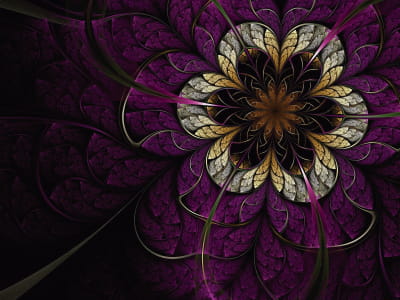 Фотообои Тёмно-фиолетовый цветок