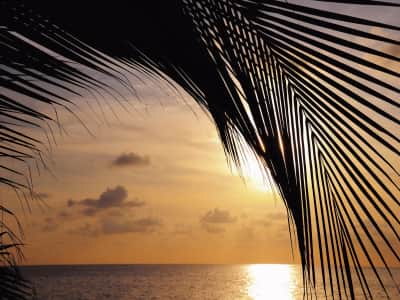 Фотообои Тропический пляж на закате