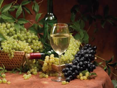 Фотошпалери Біле вино та виноград