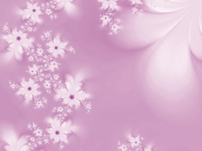 Фотошпалери Квіти на рожевому тлі