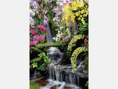 Фотообои Водопад цветы