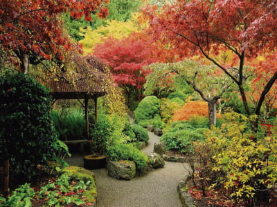 Фотообои Осенний сад