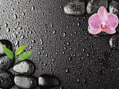 Фотообои Орхидея и капли дождя