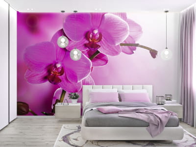Фотообои Нежная сиреневая орхидея