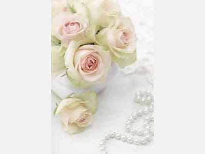 Фотошпалери Білі троянди і перли