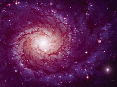 Фотообои Звездная галактика 