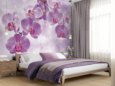 Фотошпалери Рожева орхідея