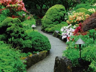Фотообои Прекрасный цветущий сад