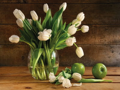 Фотообои Стеклянная ваза с тюльпанами