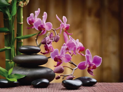 Фотообои Пурпурная орхидея и бамбук