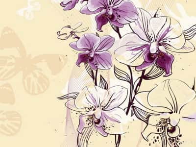 Фотошпалери Фіолетова орхідея малюнок