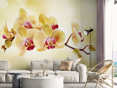 Фотообои Желтые орхидеи ( код: 9209 ) Фотообои Желтые орхидеи