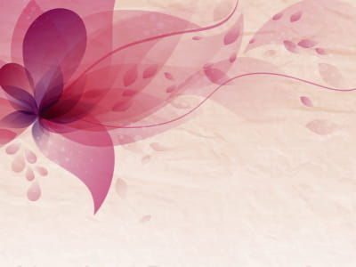 Фотообои Воздушный розовый цветок