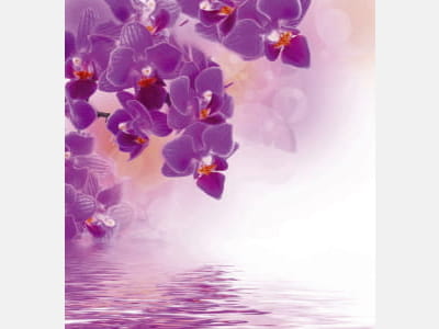 Фотошпалери Фіолетові орхідеї над водою