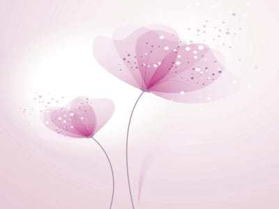 Фотошпалери Квіти пильно рожеві