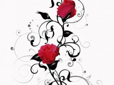 Фотообои Рисунок розы