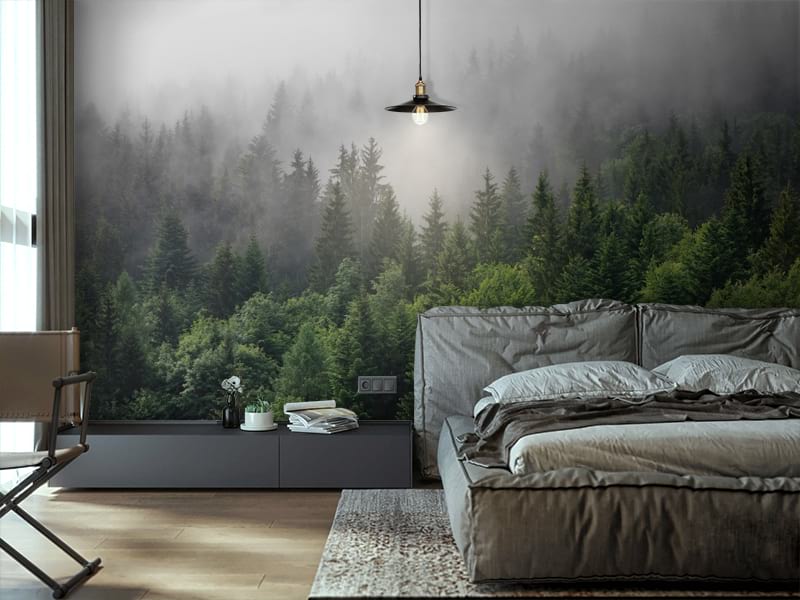 Фотообои Туманный лес на стену, купить фотообои туманный лес в интернет-магазине WallArt®