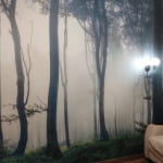 Фотовідгук клієнта Поліна №4