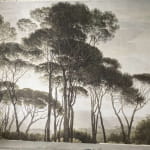 Фотоотзыв клиента Мащенко Оксана #1