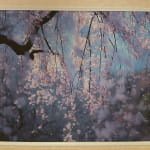 Фотоотзыв клиента Якименко Яна Станіславівна #1