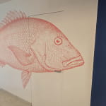 Фотовідгук клієнта Саенко Вячеслав №1