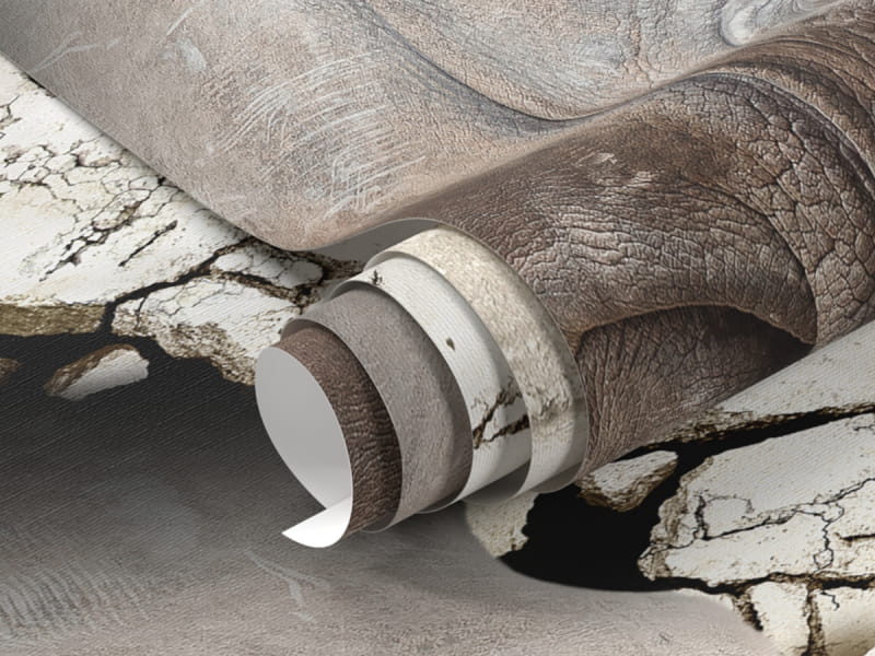 Фотообои Носорог из стены фрагмент #1