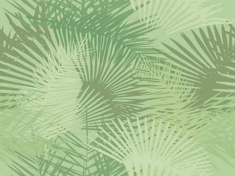 Фотообои Ветви пальмовых листьев