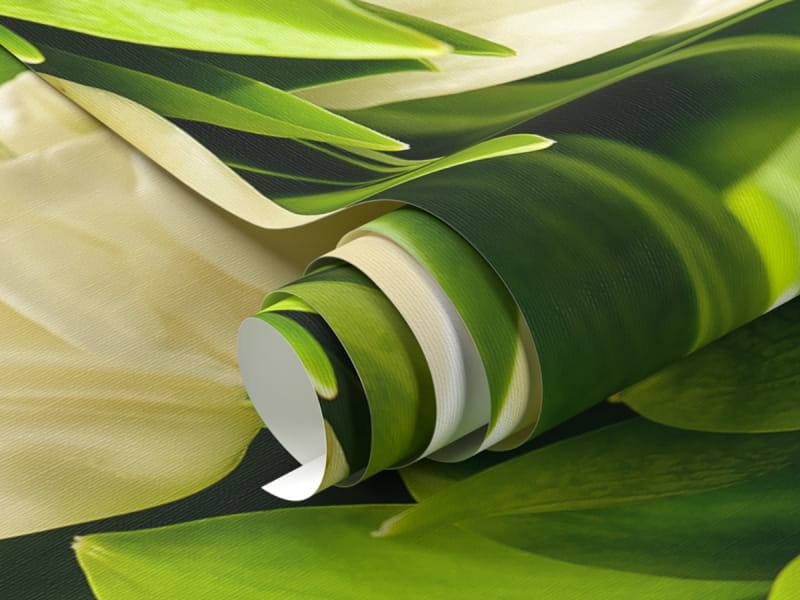 Фотообои Белые тюльпаны фрагмент #1