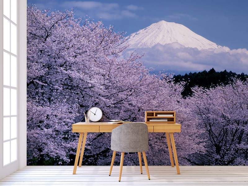 Фотообои Сакура у горы Фудзи в интерьере офиса