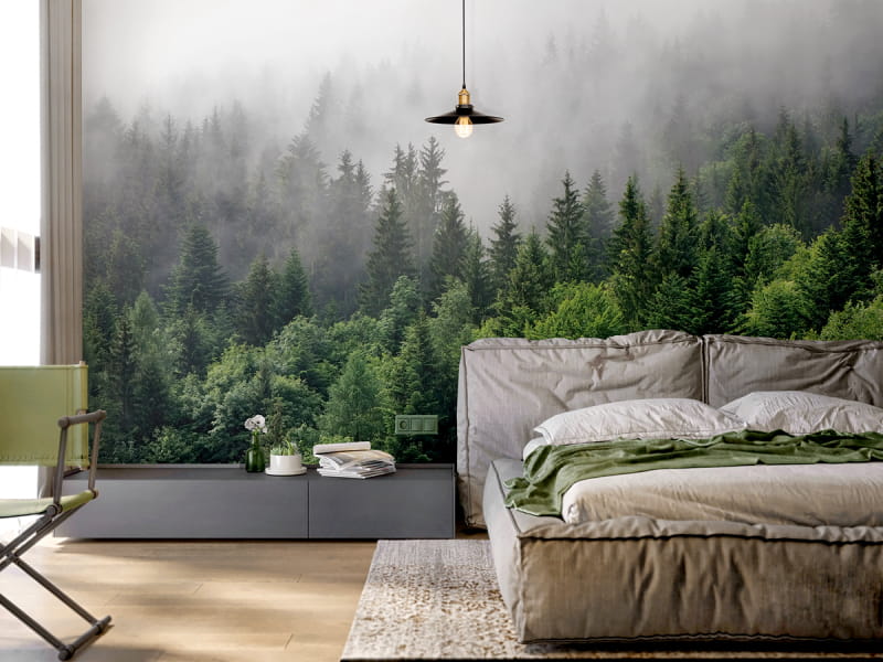 Фотообои Туманное утро в лесу в интерьере спальни